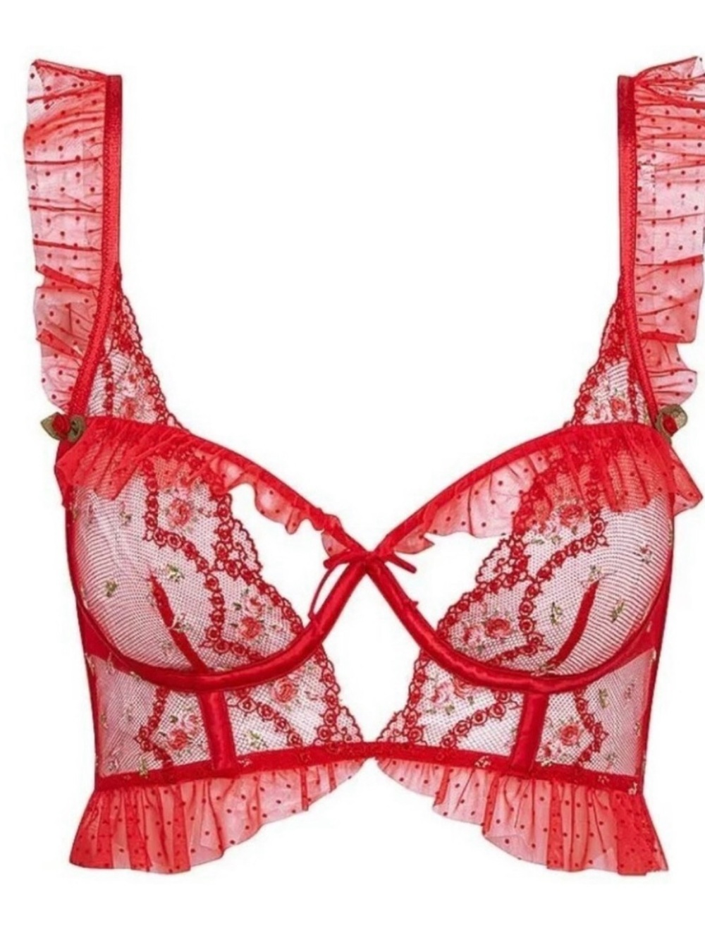 For Love & Lemons Red Bustier